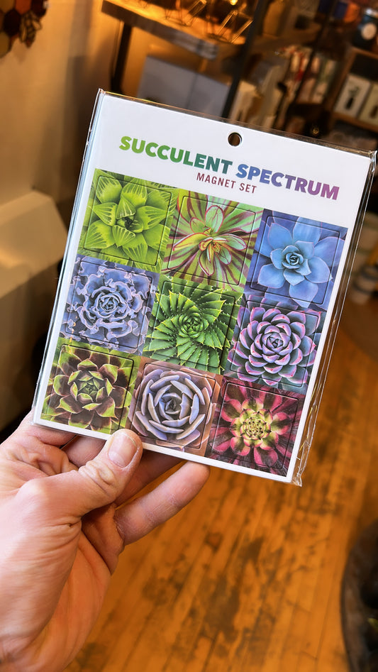 Succulent Magnets