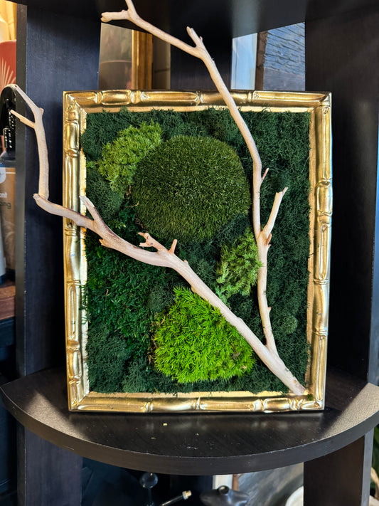 ‘Gloss’ Gold Frame Moss Art