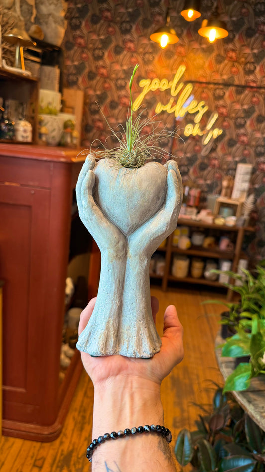 Air Plant Heart Holder