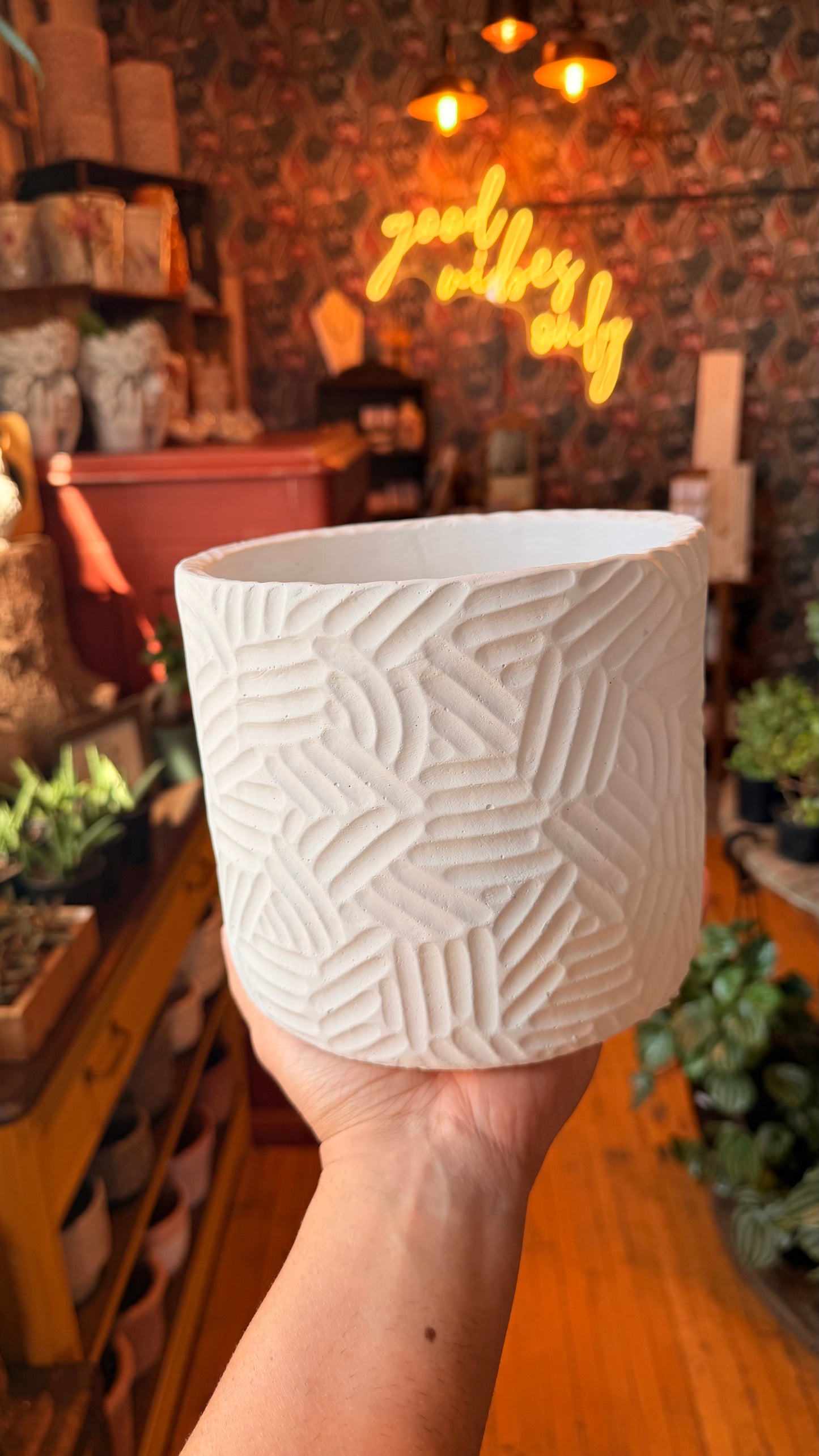 6.5” Deco White Planter