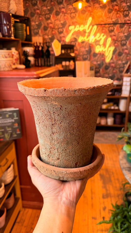 6.5” Aged Terracotta Planter