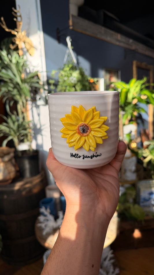 4” Hello Sunshine Planter