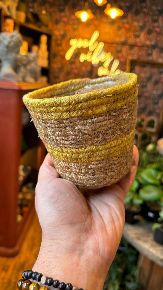 4.5” Yellow Striped Basket