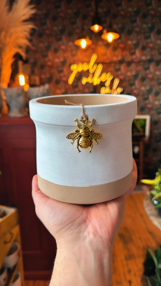5” Bee Charm Planter