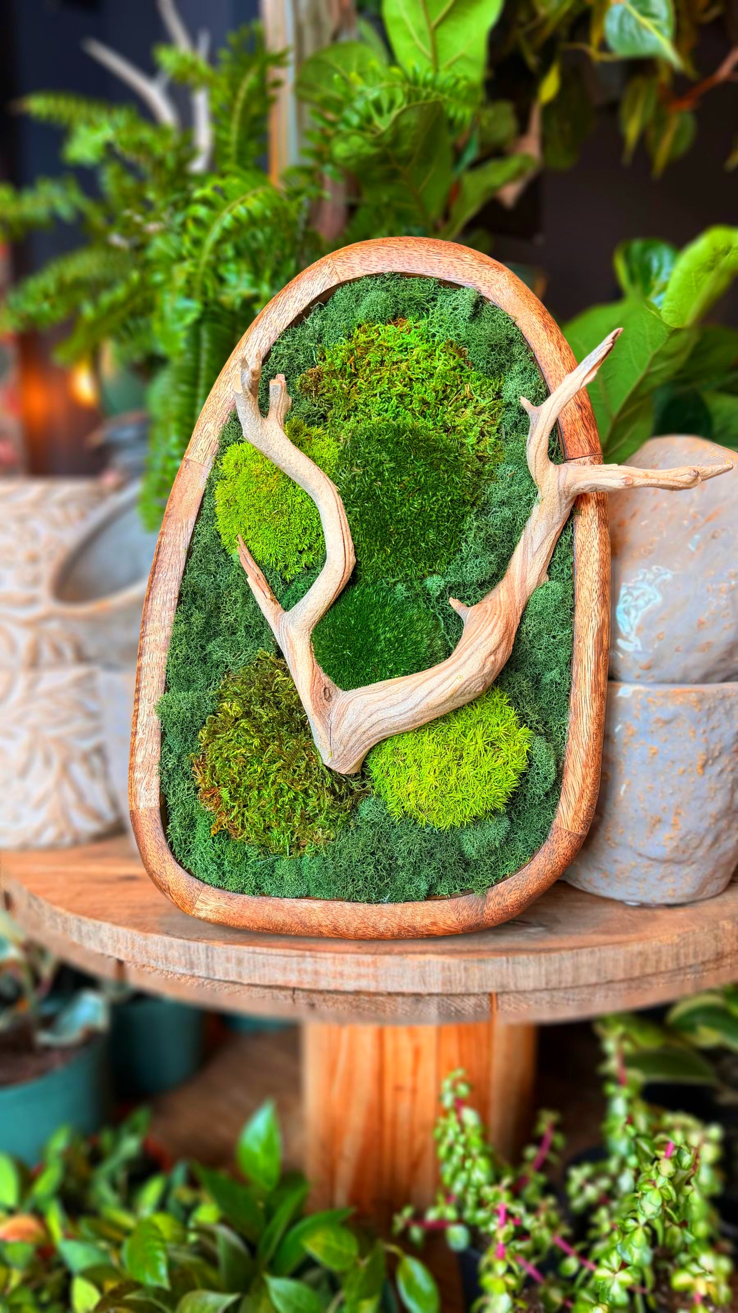 XL ‘Cabinn’ Wood Frame Moss Art