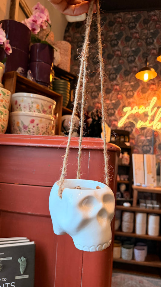 3” Hanging Skull Planter - White