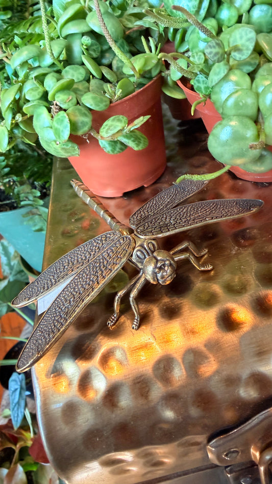 Dreamy the Dragonfly Brass Figurine