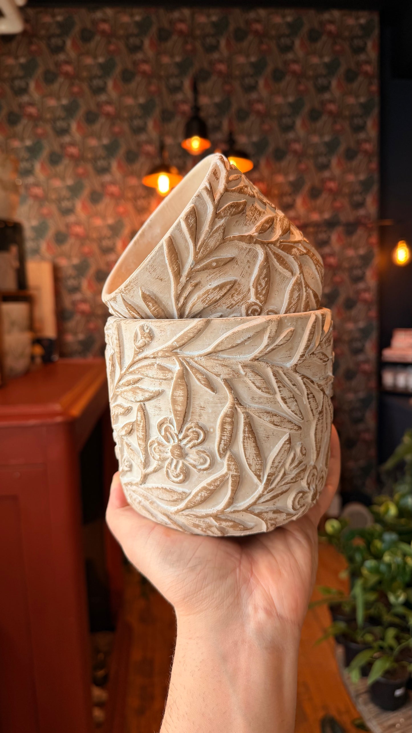 Crystilis Planter Collection