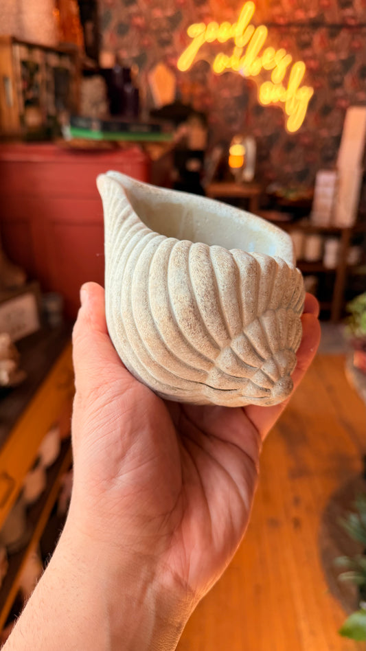 3.5” Nautilus Planter