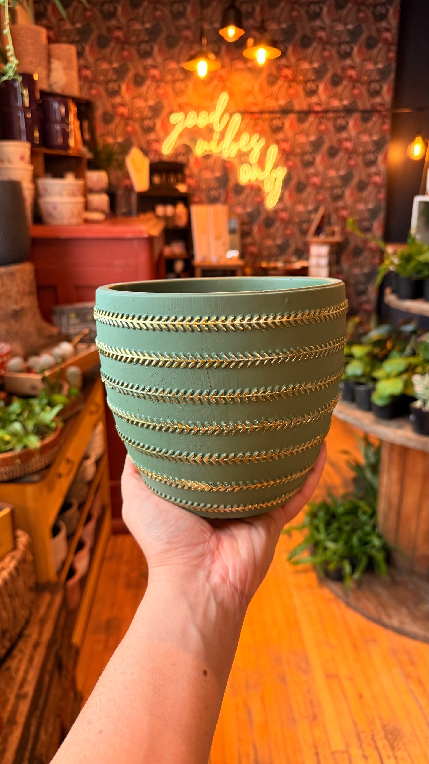 5” Golden Touch Planter