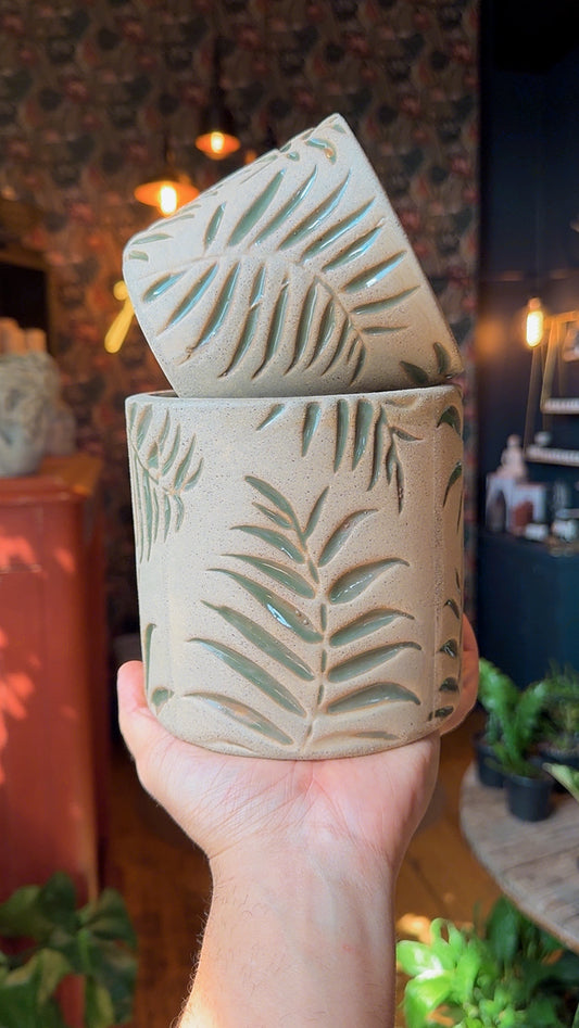 Forest Fern Collection