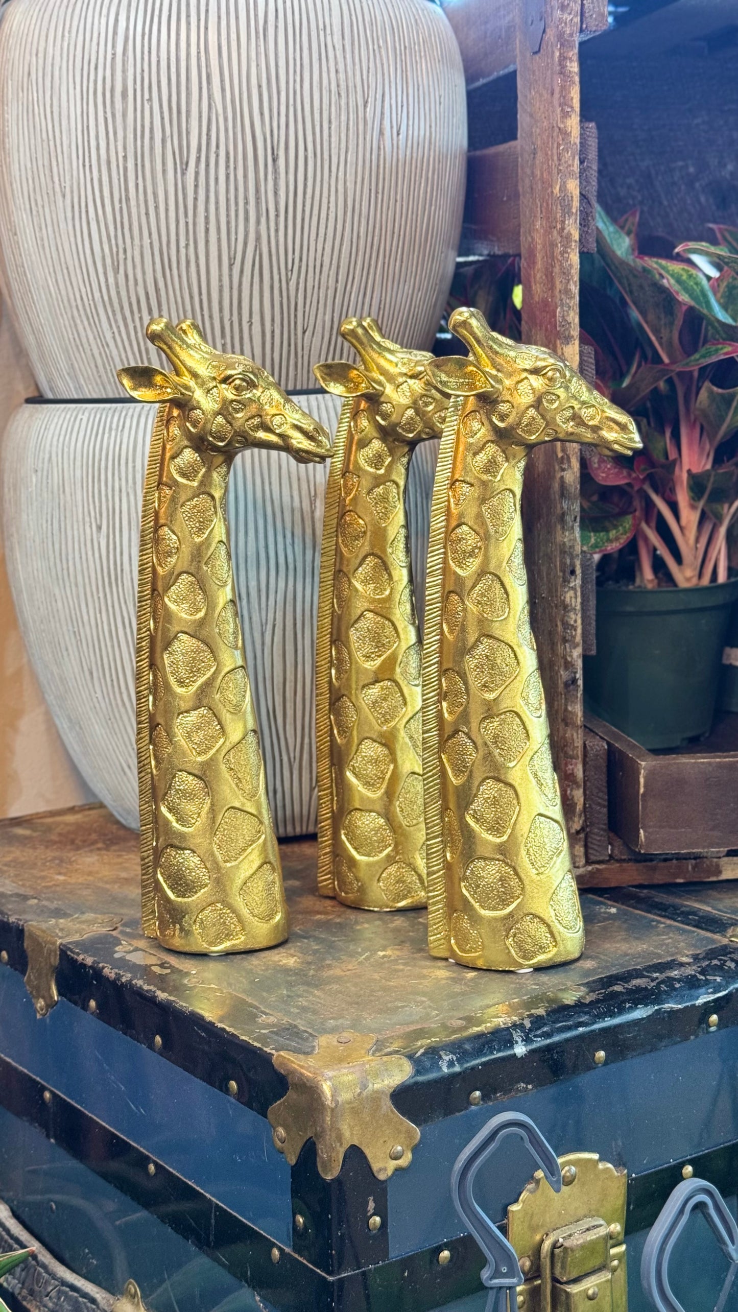 Golden Giraffe Decor