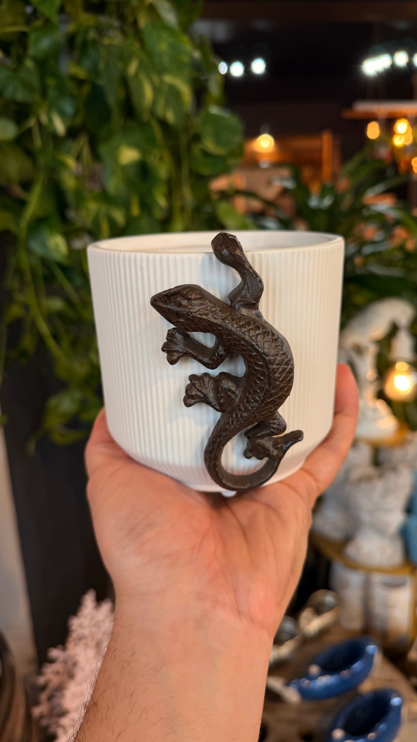 Lazy Lizard Plant Buddy