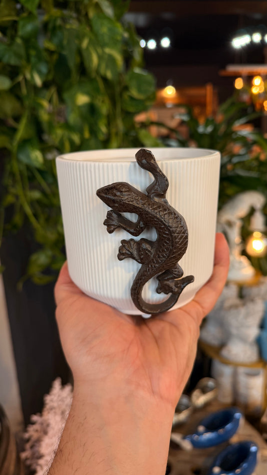 Lazy Lizard Plant Buddy