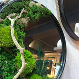 ‘Slate’ Moss Mirror