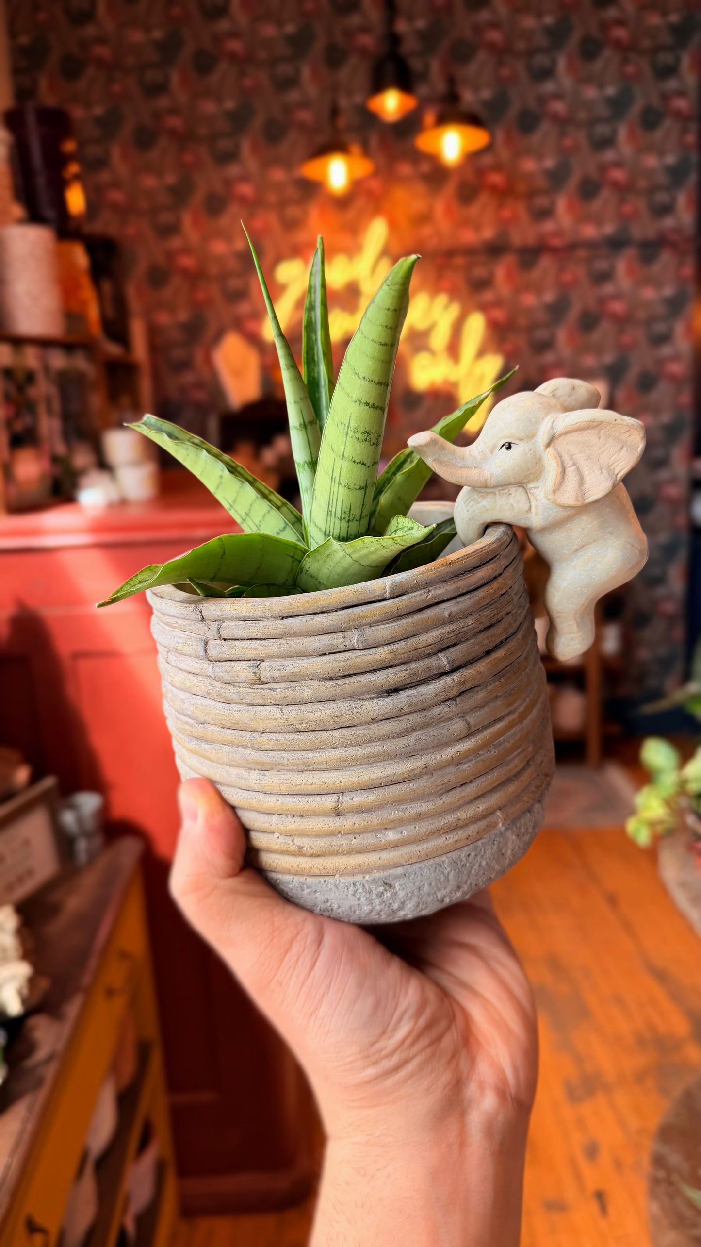 Elle the Elephant Plant Buddy