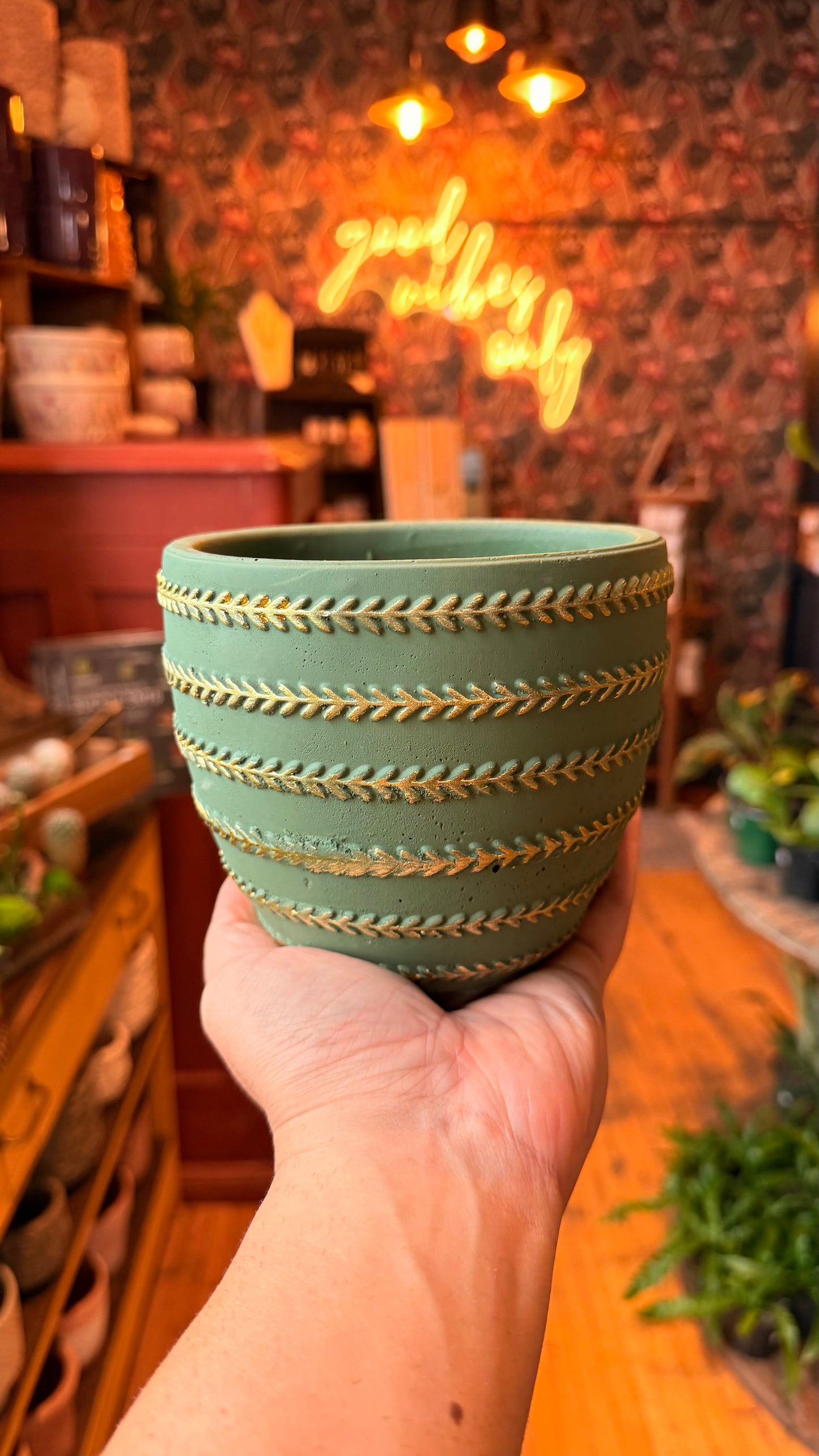 6.5” Golden Touch Planter