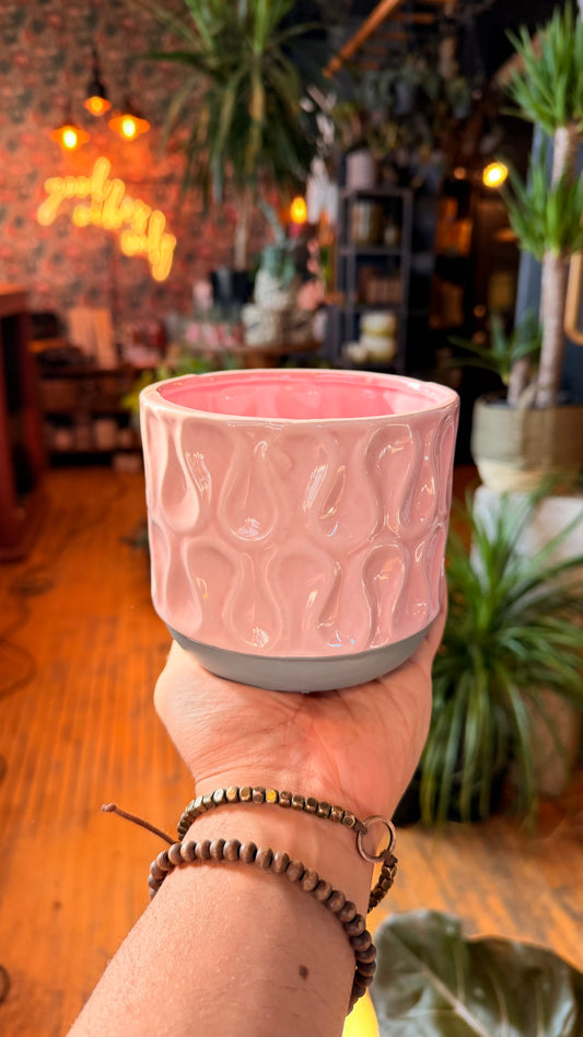 4.5” Pink Wave Planter