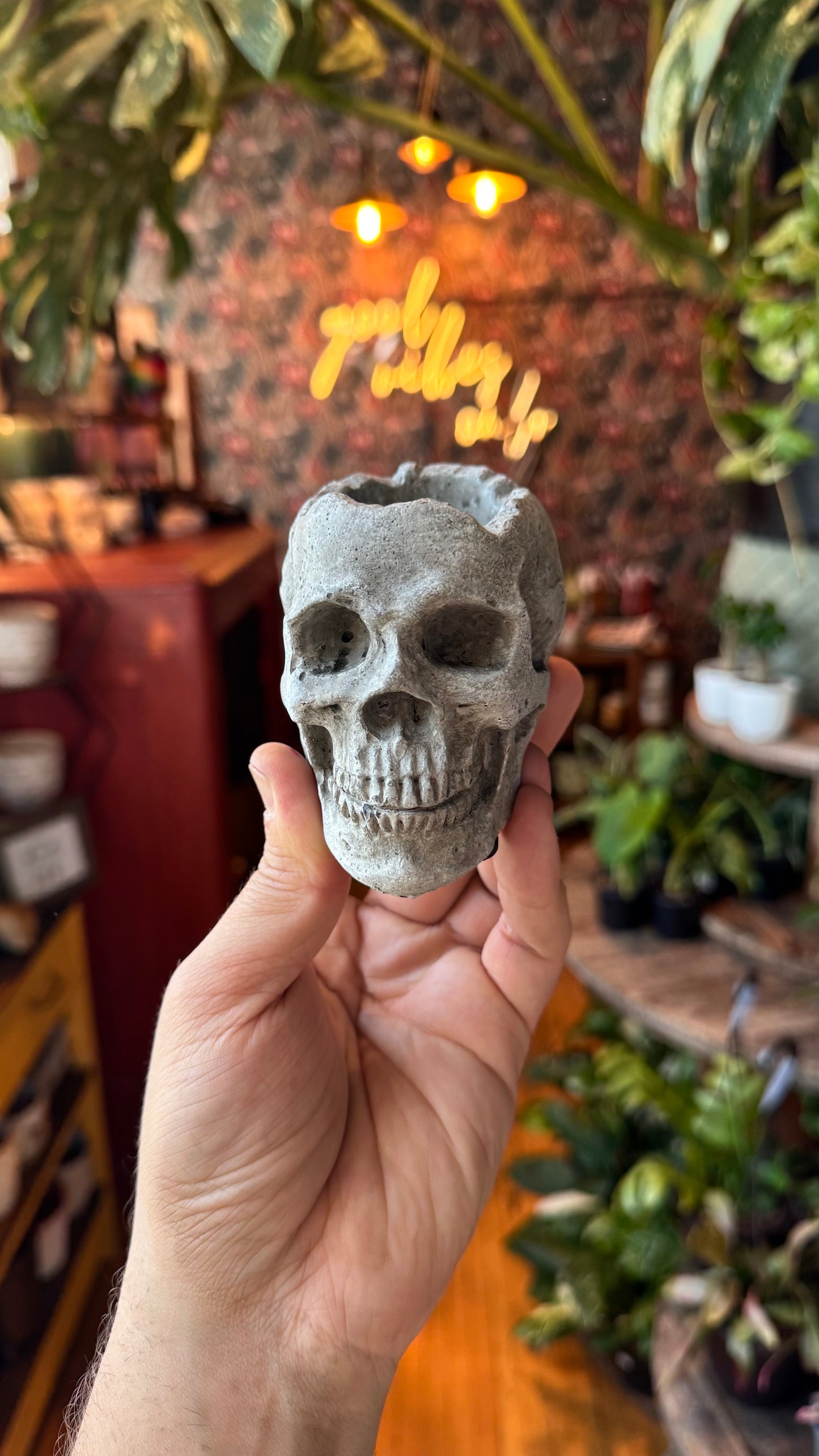 2.5” Realistic Skull Planter