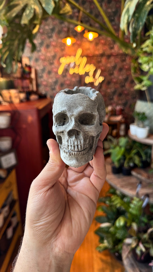 2.5” Realistic Skull Planter
