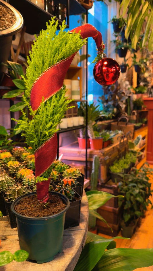 4” Mini Grinch Tree