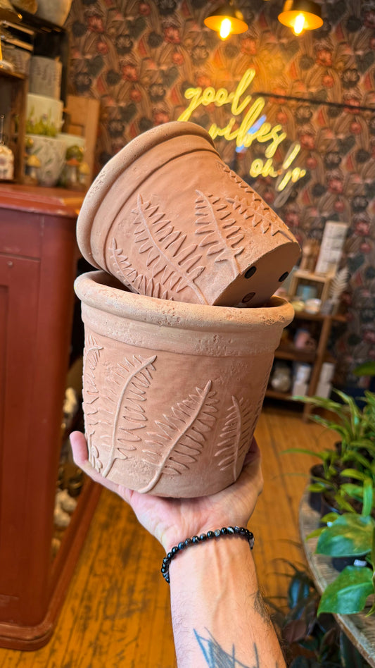 Terracotta Fern Planter Collection