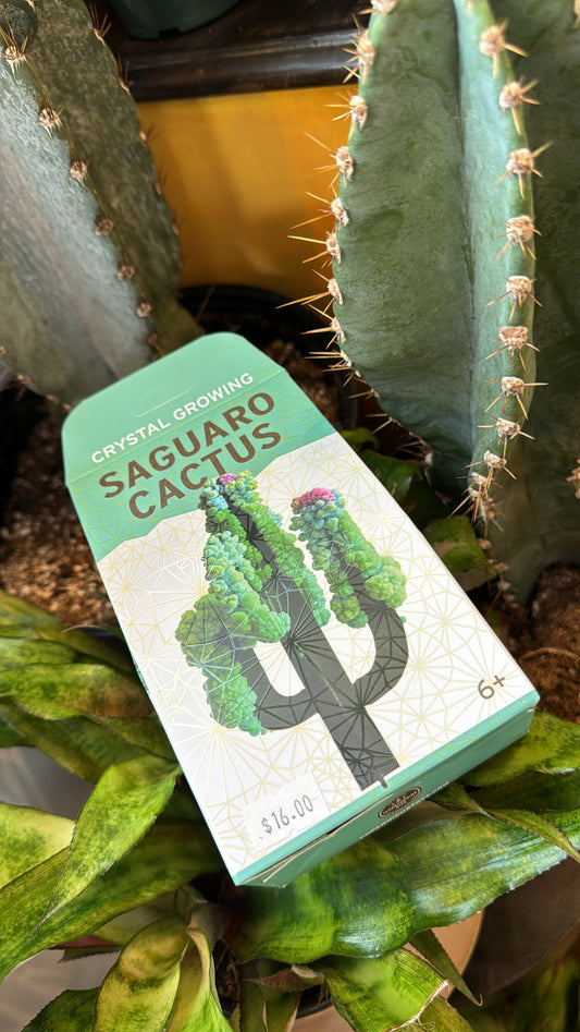 Crystal Growing Kit - Saguaro Cactus