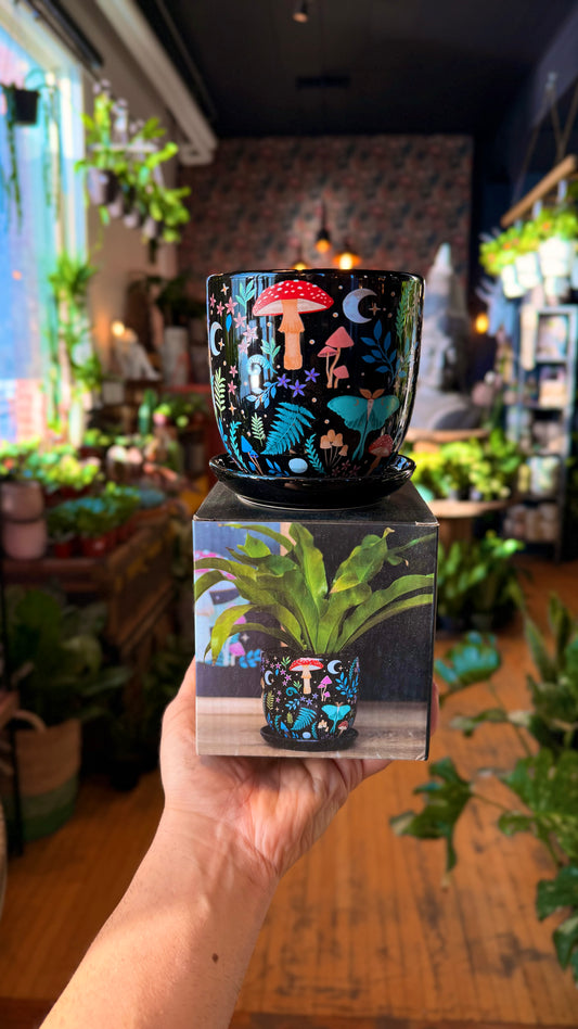 4.5” Mystical Mushroom Forest Planter