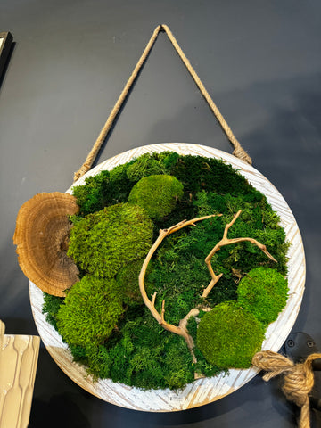 ‘Somnium’ Floating Moss Art