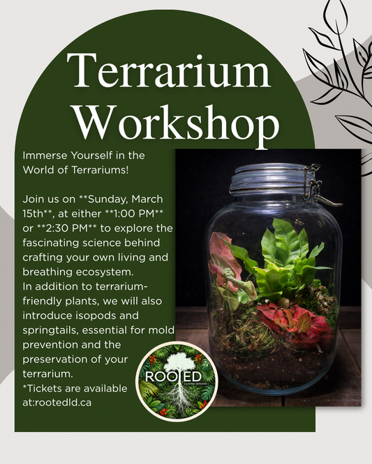 Terrarium Workshop