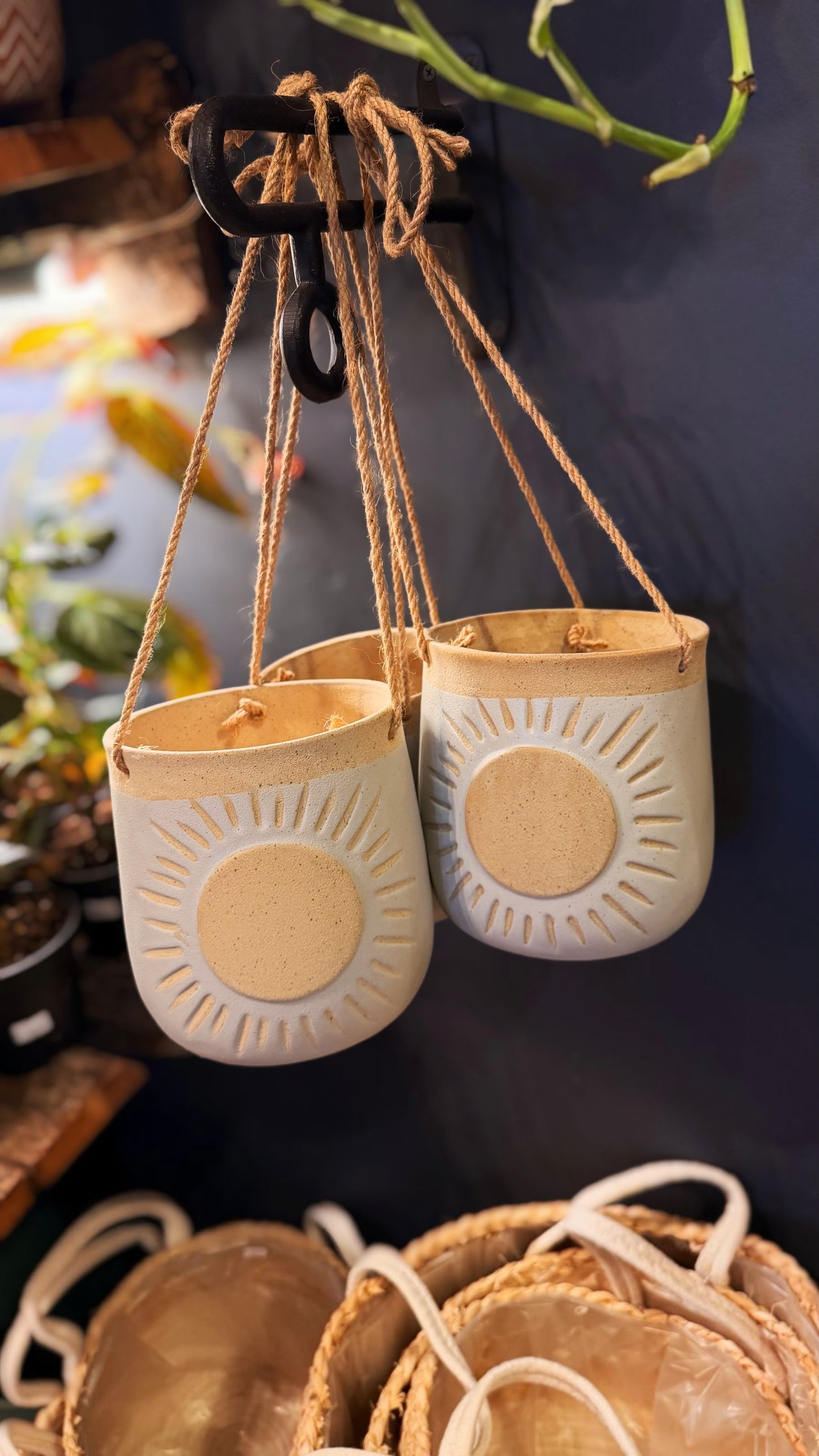 6” Hanging Sun Planter