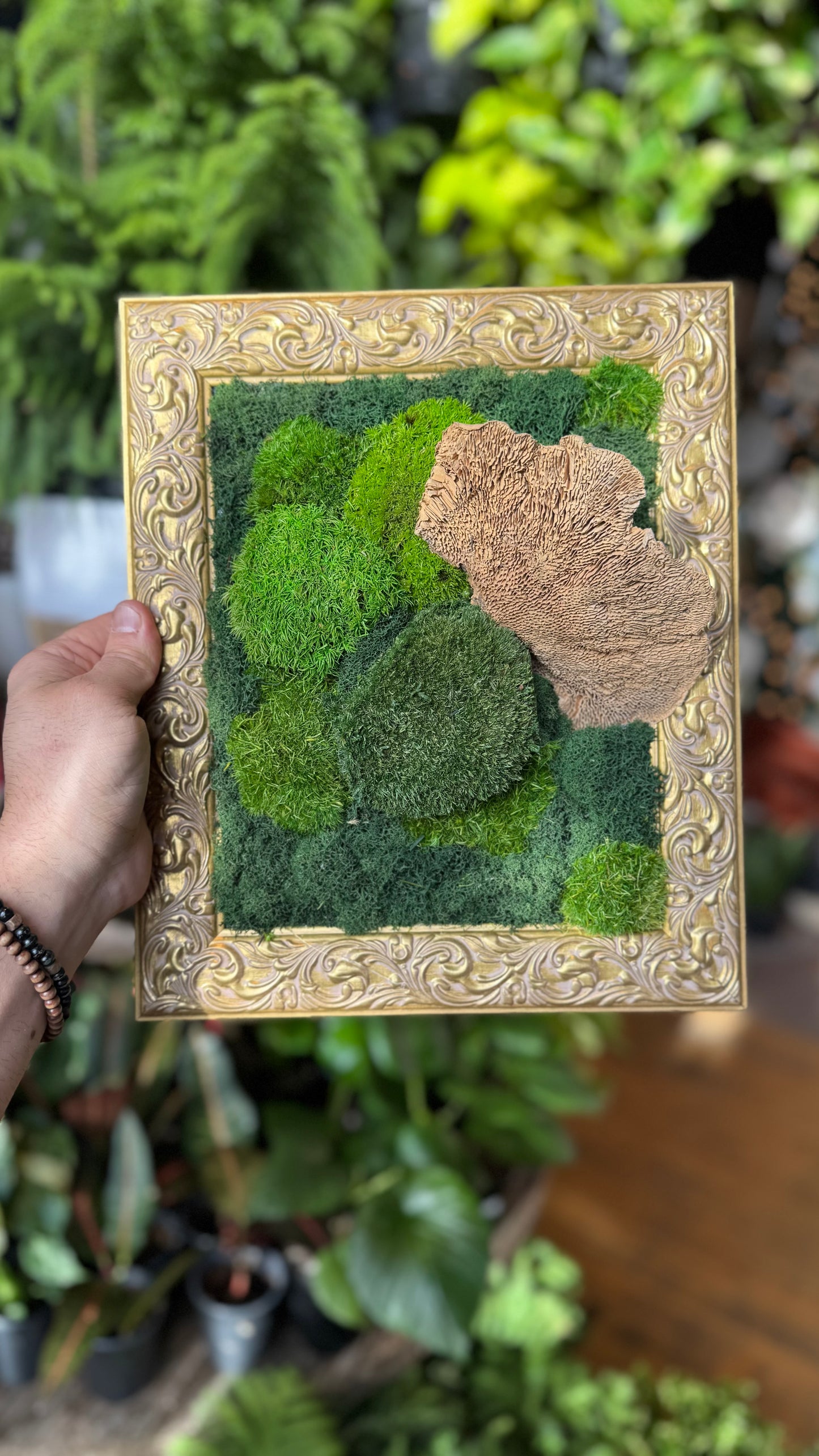 ‘Gloss’ Gold Frame Moss Art