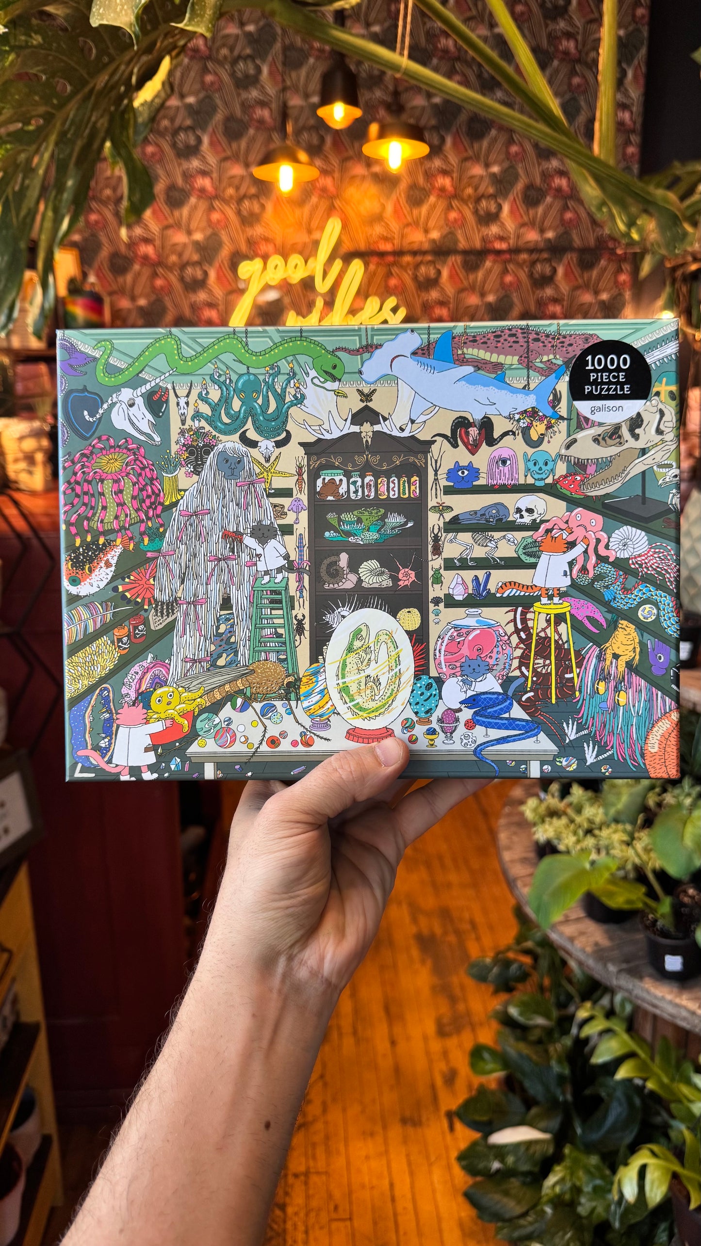 Cabinet Of Curiosity - 1000 Piece Puzzle