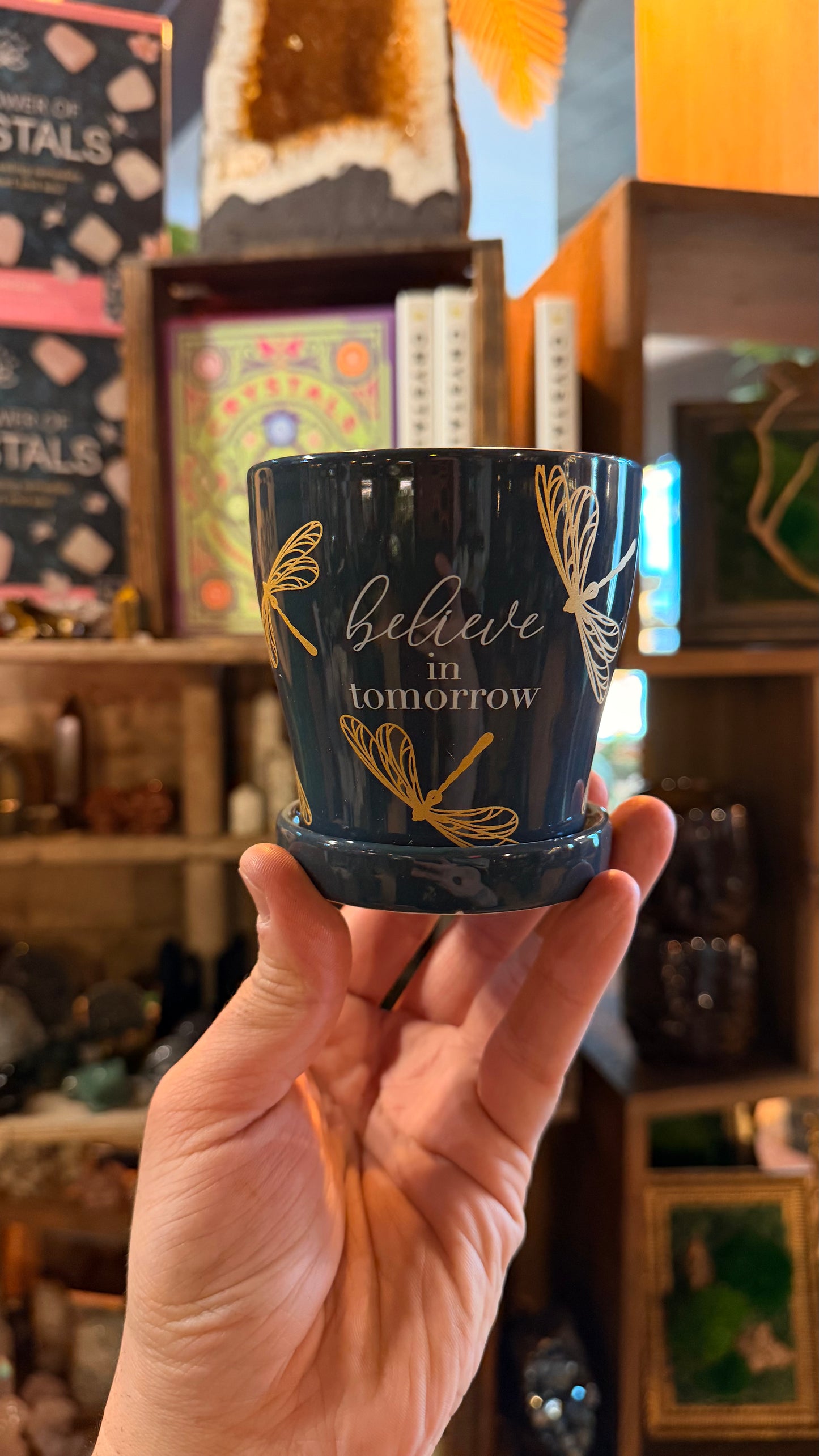2.5” ‘Believe in Yourself’ Planter