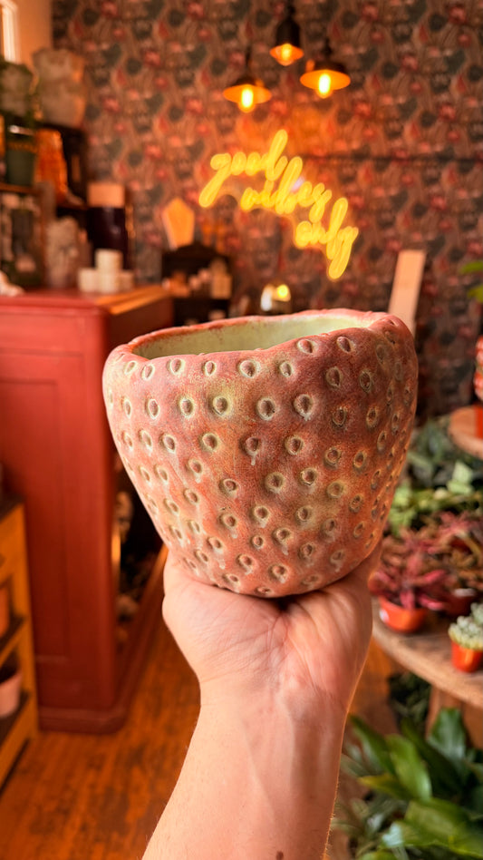 5” Strawberry Planter