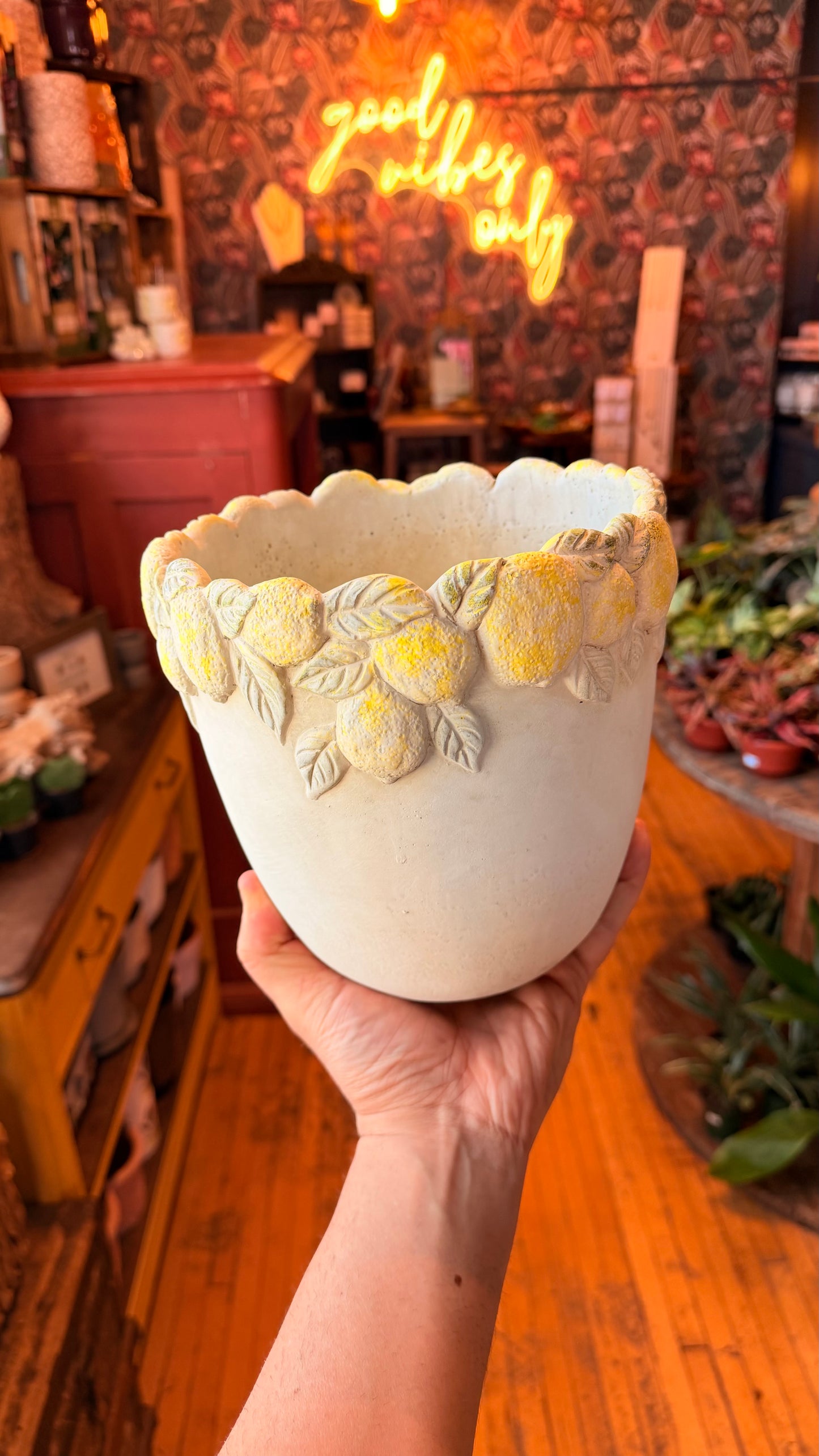 7.5” Lemon Heaven Planter