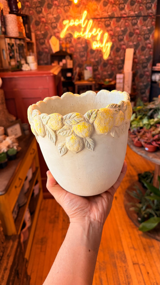 7.5” Lemon Heaven Planter