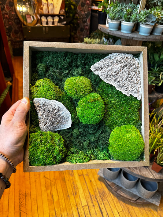 ‘ Snow Mushroom Forest’ Moss Art