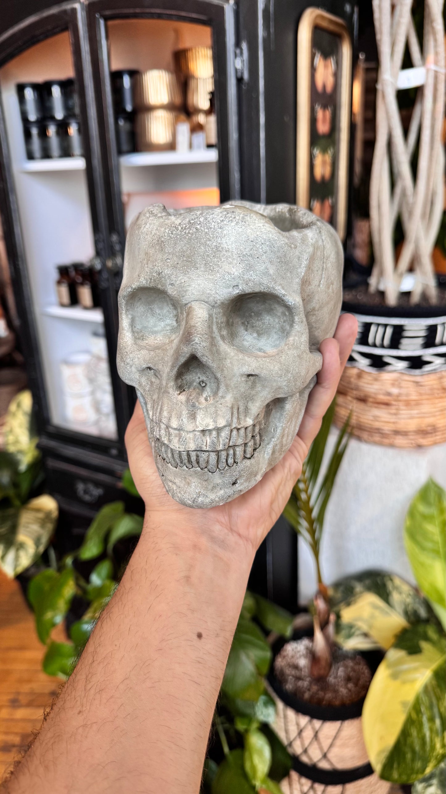 5” Realistic Skull Planter