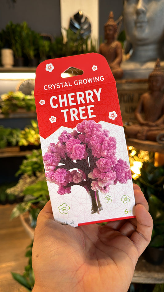 Crystal Growing Kit - Cherry Tree