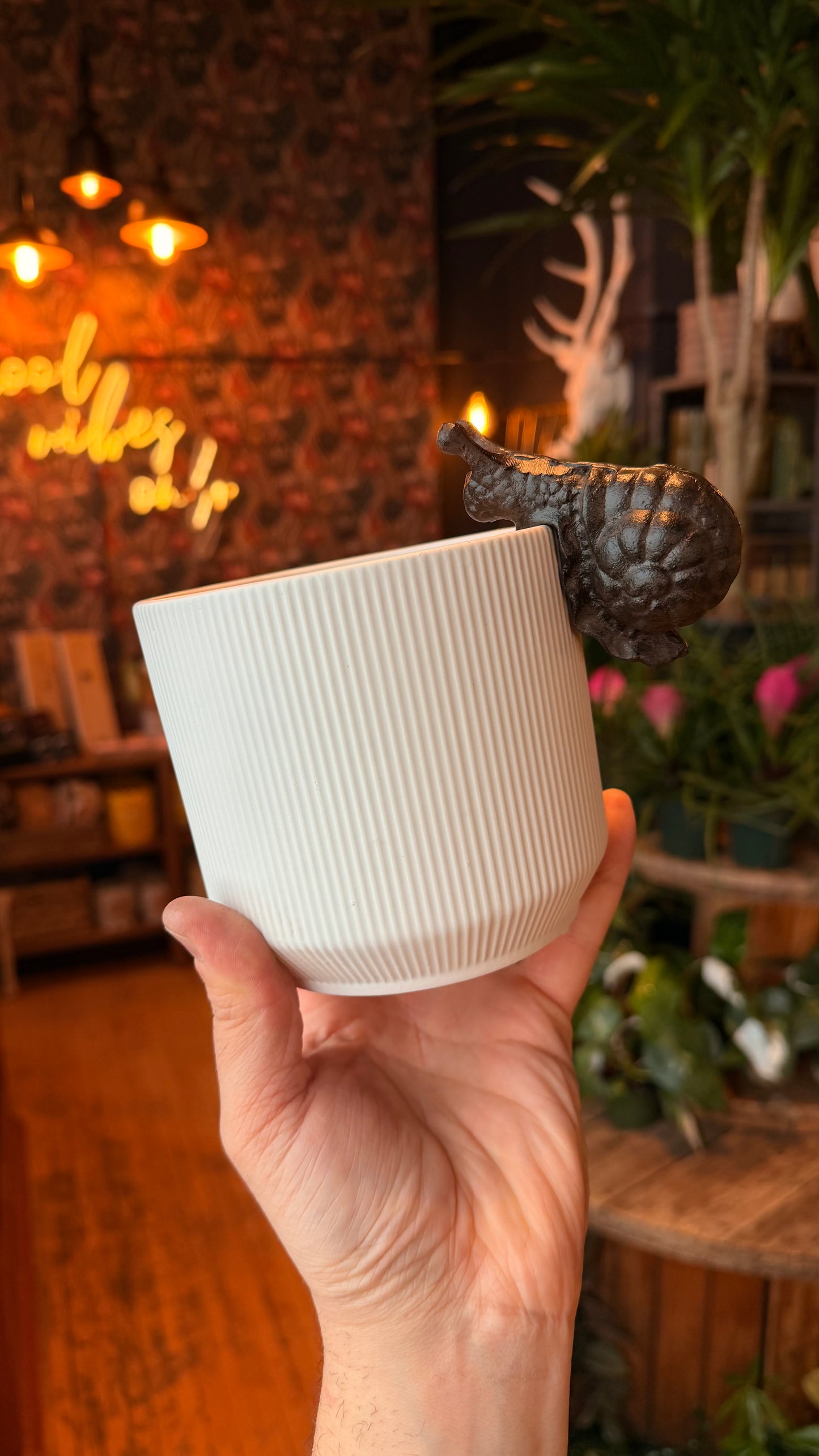 Sneaky Snail Plant Buddy