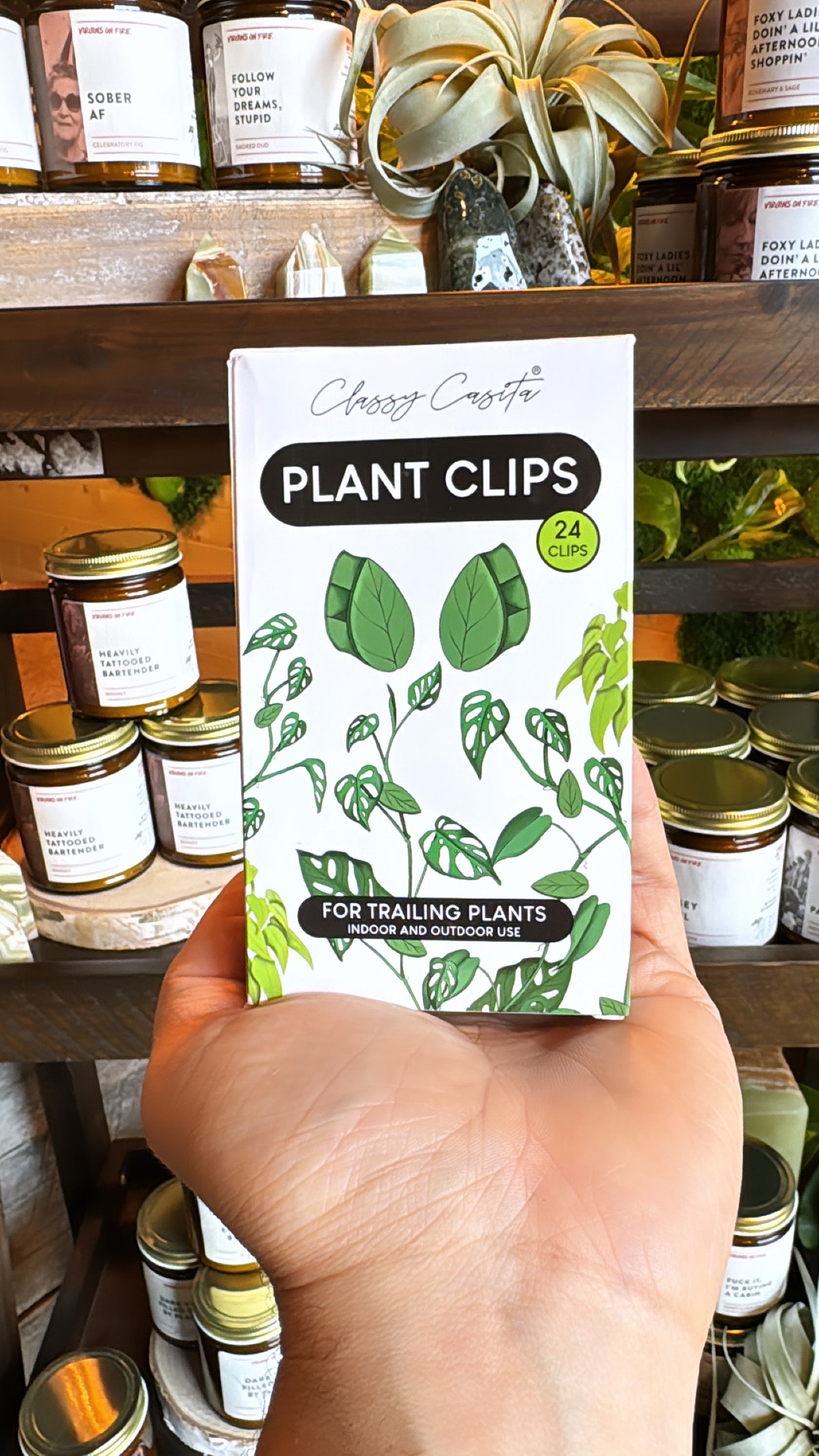 Plant Clips - 24 Pack