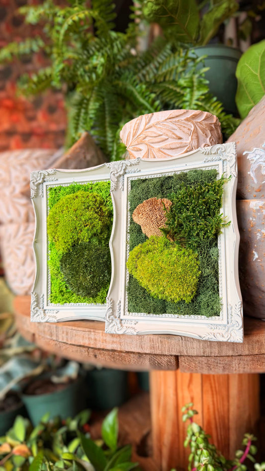 Small Vintage ‘Bleu’ Moss Art Frame