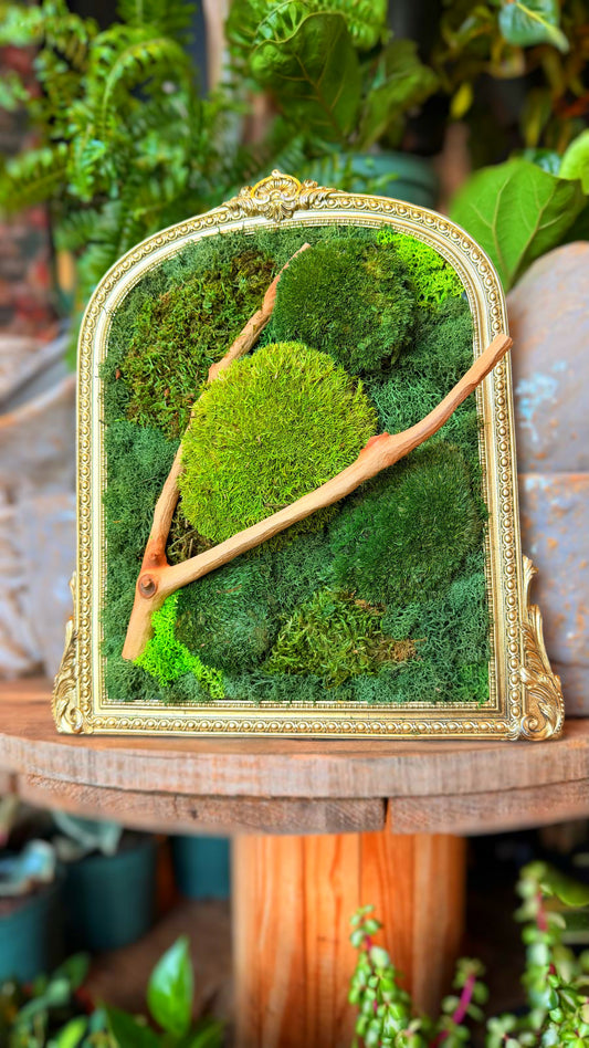 Large Archwork Moss Art
