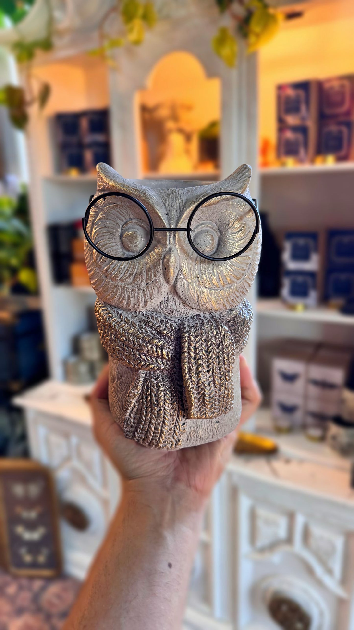 Otis The Owl Planter