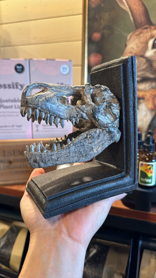 Dinosaur Decor - Book End