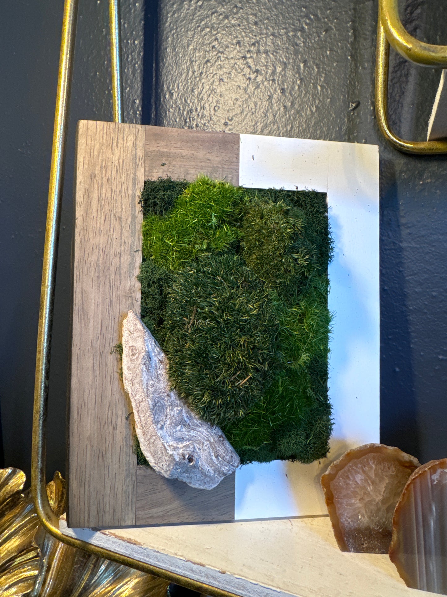 ‘Silata’ Moss Art Frame