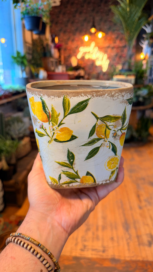 5.5” Lemon Zest Vintage Planter