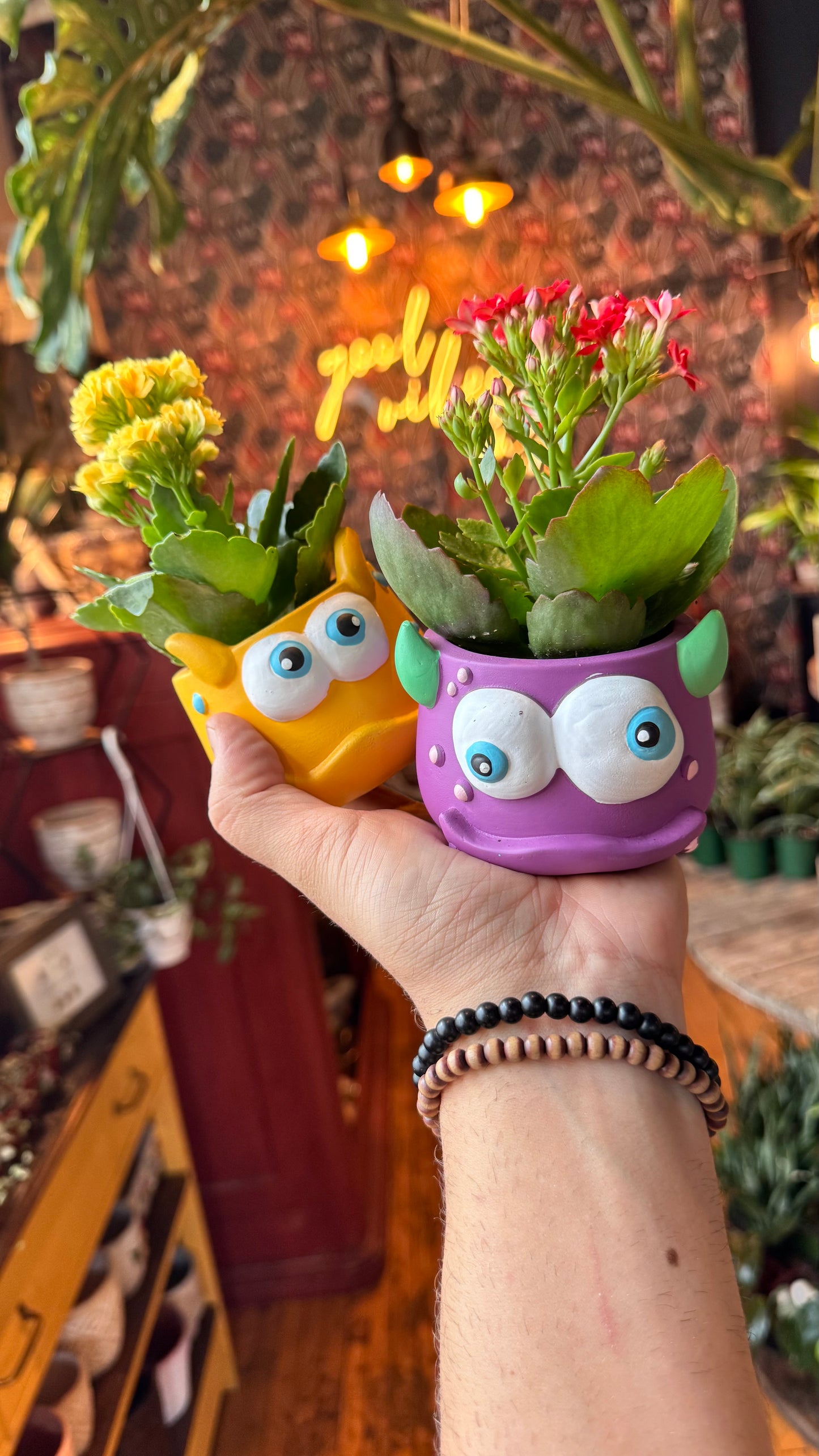 2.5” Blinky The Monster Planter Assorted Colours