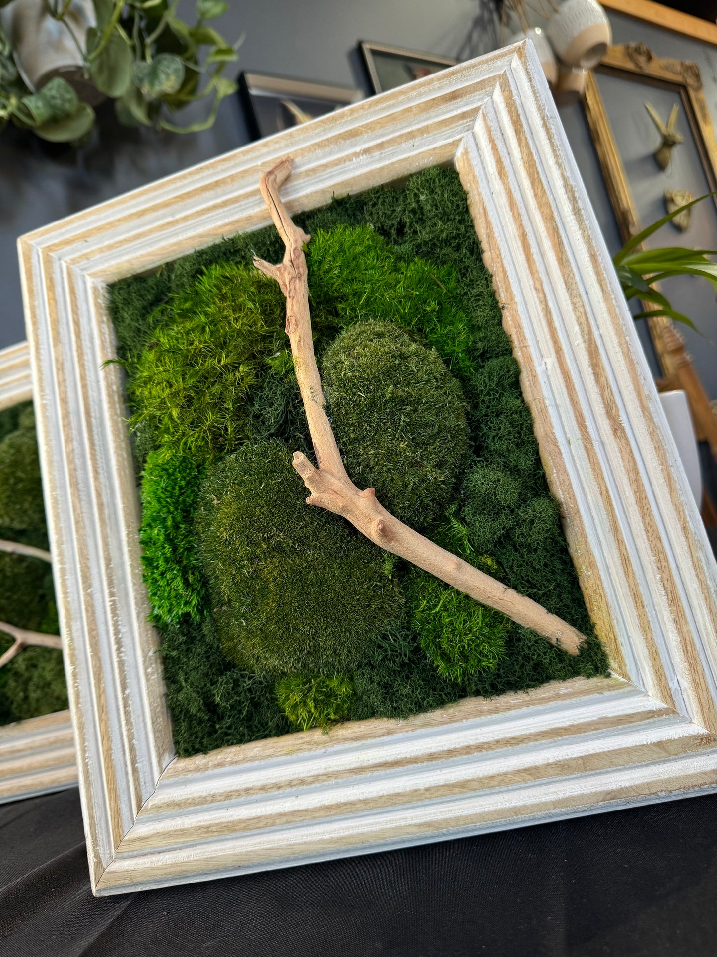 ‘Nico’s’ Moss Art Frame